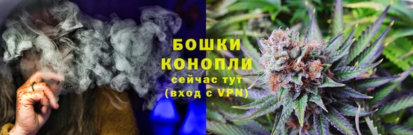PSILOCYBIN Михайловск