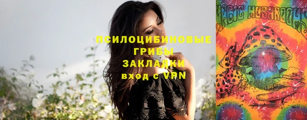 кокс Михайлов