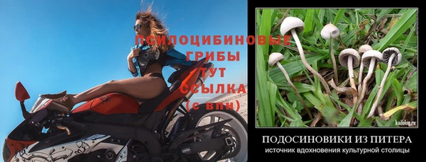 эйфоретик Балахна